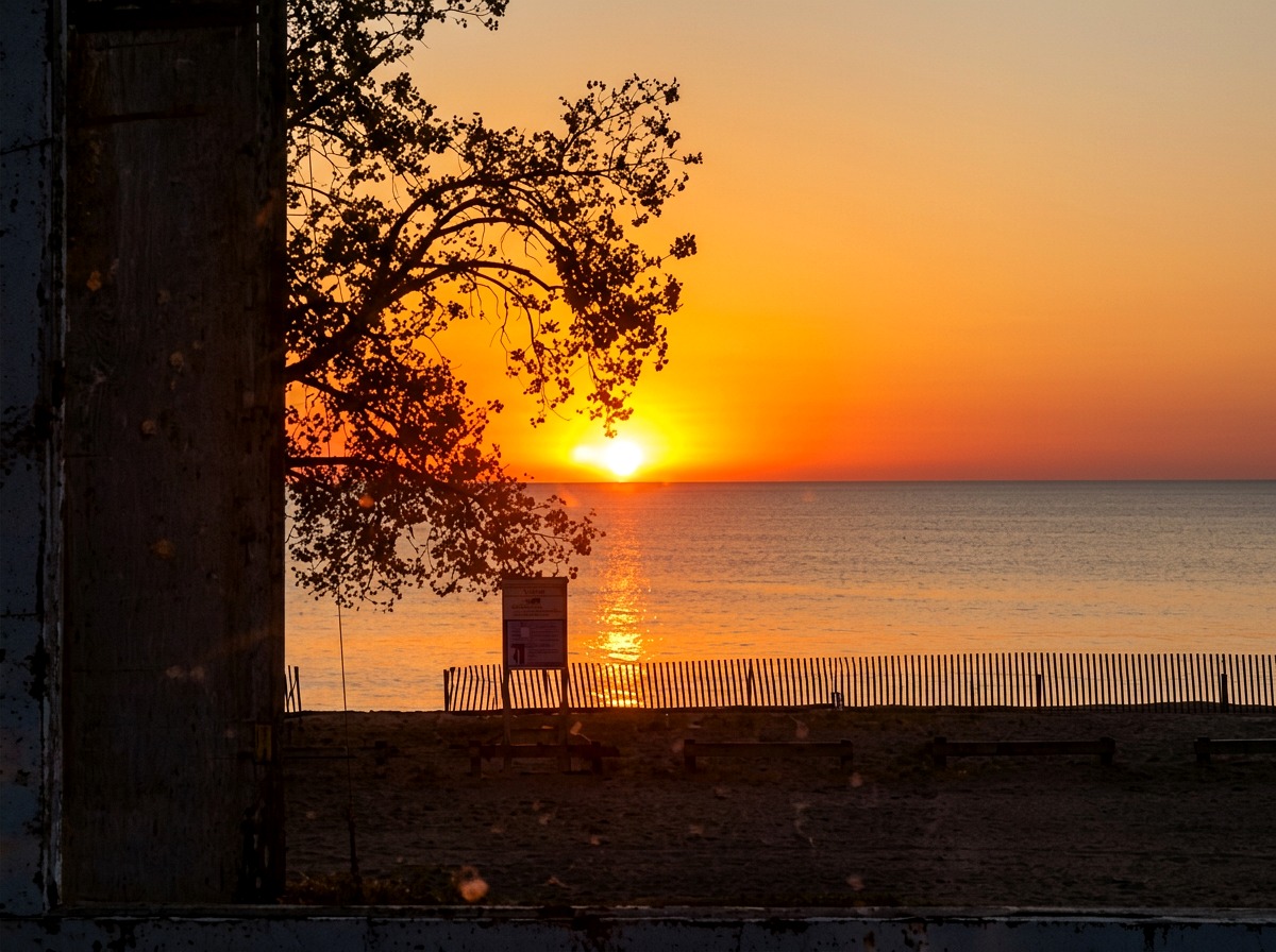 Golden sunset over Lake Erie framed by a silhouetted tree at Turkey Point Beach